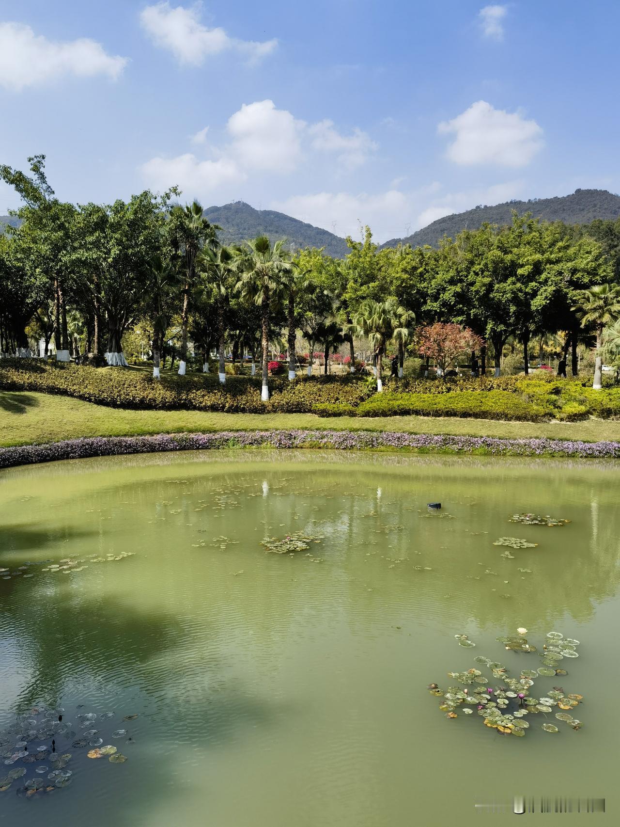 你有没有遇到过？有些人看上去比较轻松，没有你吃的苦多，却收获的比你多。