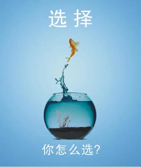 告诉你，找儿媳妇有这几种表现的不找。一、喜欢养狗的不找，养狗每天喂食、梳毛、