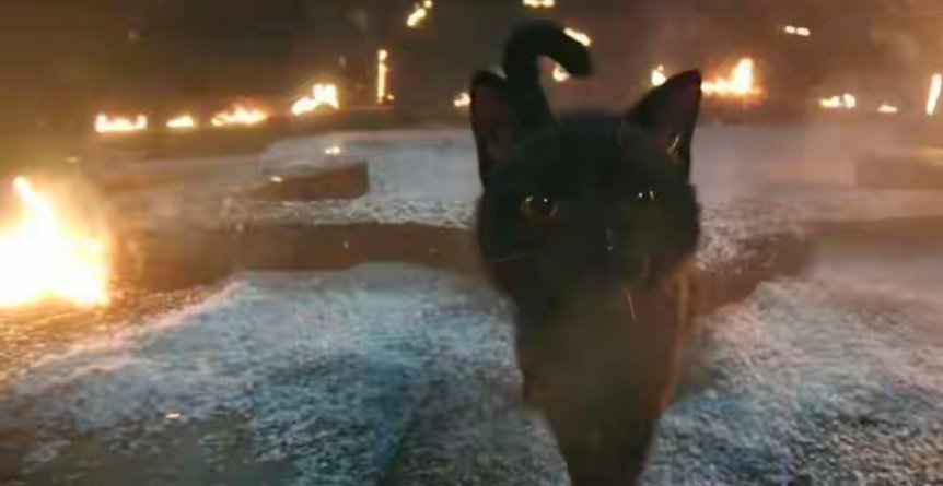追《子夜归》时，心里一直藏着个疑问：上任猫公临死之际，为啥要把本源之力传给武祯呢