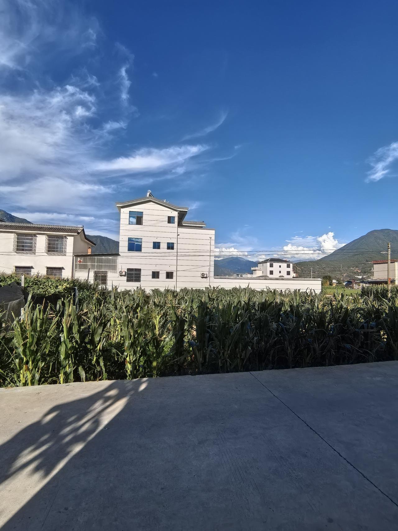 健康小常识：疼痛和癌症的关系：在中医看来，疼痛不等于癌症，但“久痛、剧痛、固