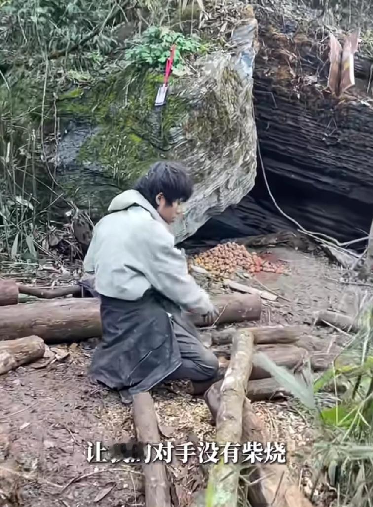 林北换策略了，荒野求生短时间熬不走对手，开始疯狂收集木柴，自己都拿走囤货，让对手