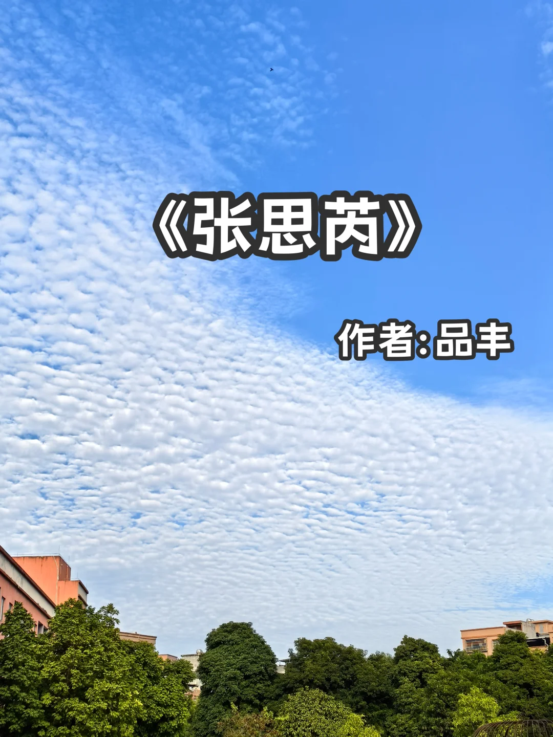 宅家小说｜久别重逢《张思芮》