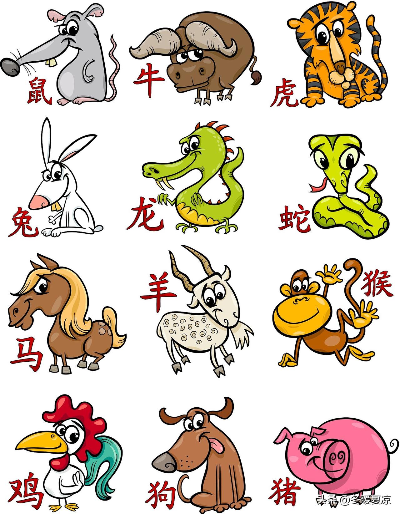 2026年十二生肖最该学会什么？鼠该学会……大方，牛该学会……变通，虎该学