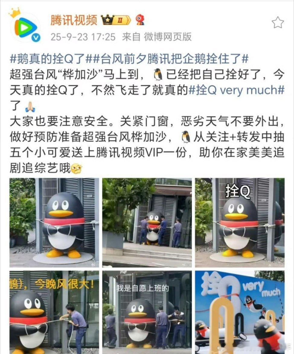 鹅把自己整拴Q了[捂脸哭][捂脸哭][捂脸哭]​​​