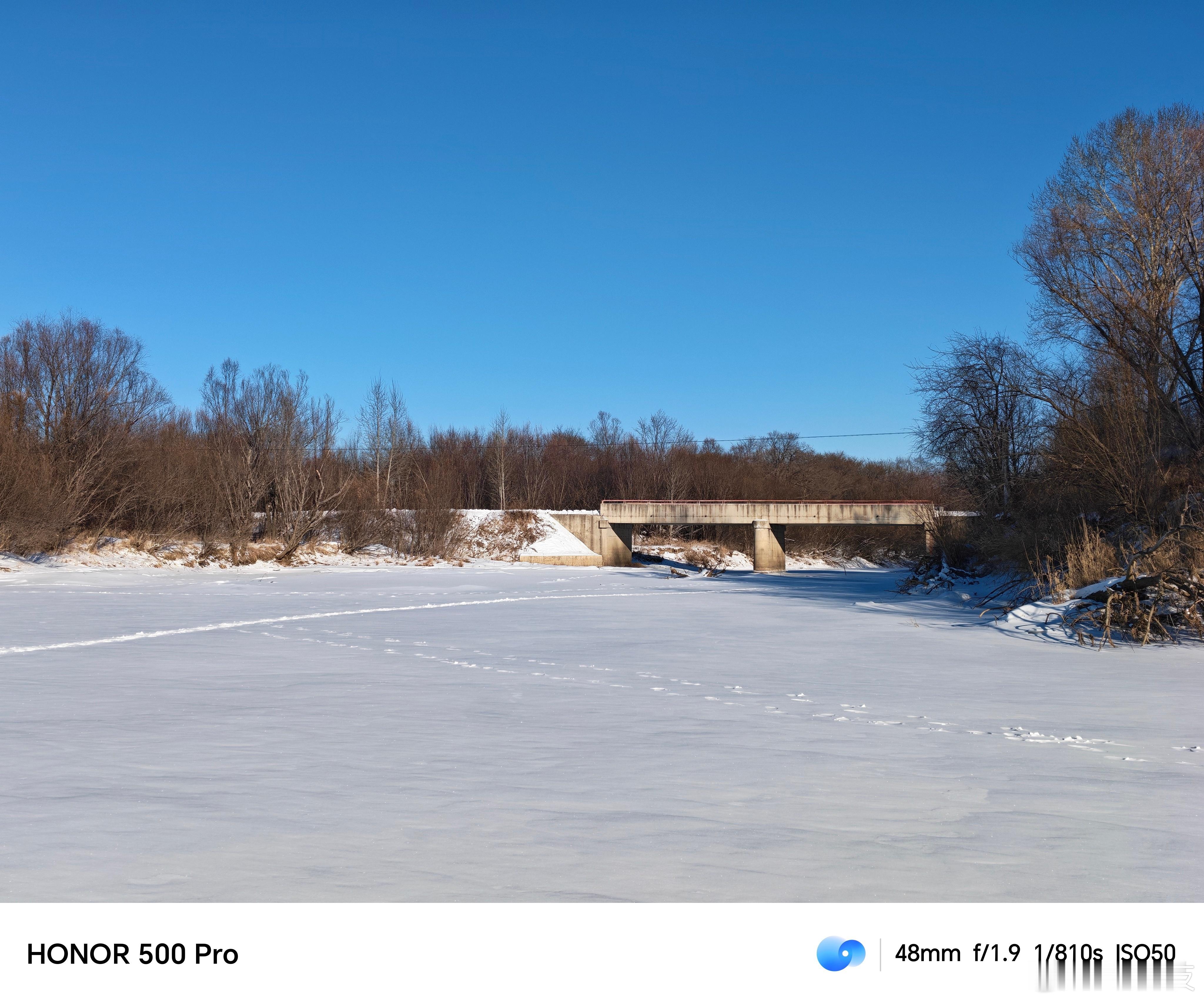 荣耀500简直了，2亿像素主摄配合1/1.4英寸大底妥妥的出片神器，你们觉得这个