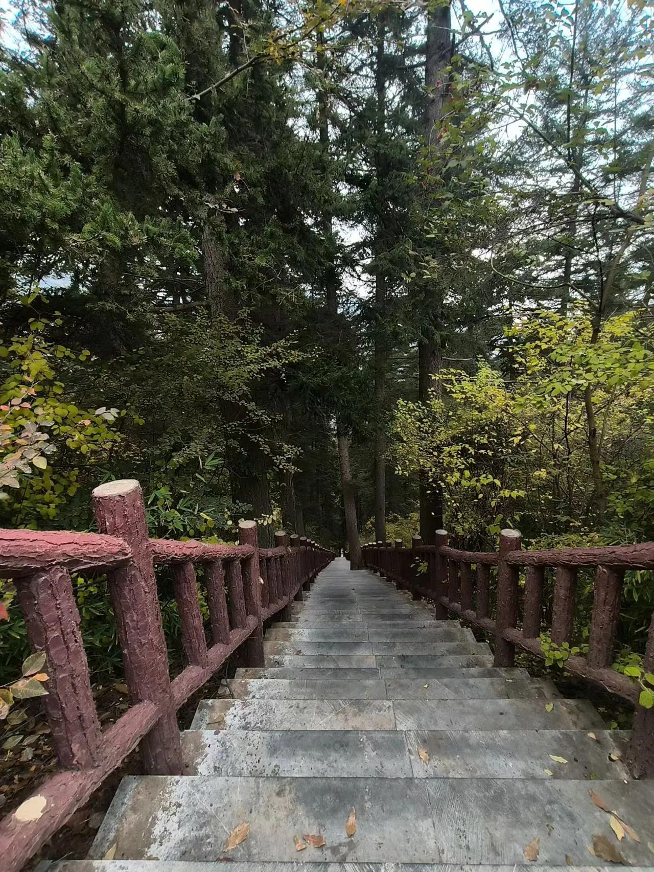 发现没人不能太讲究卫生，太干净，不然，苦的只有自己。我有个朋友就是个典型