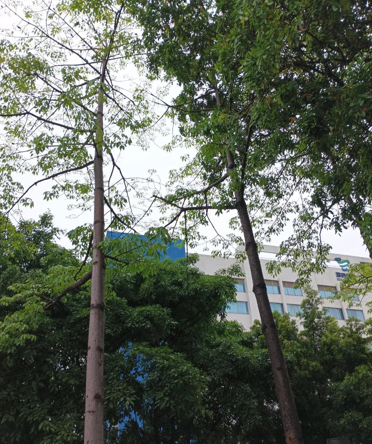内心情感细腻的三大生肖内心情感细腻的生肖还挺有趣的。就像生肖龙，他们很会利用时