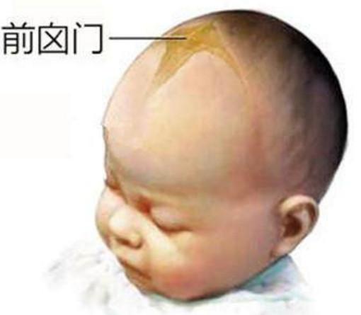新生宝宝需要保护, 这四个地方很重要, 作为父母你们都知道吗?
