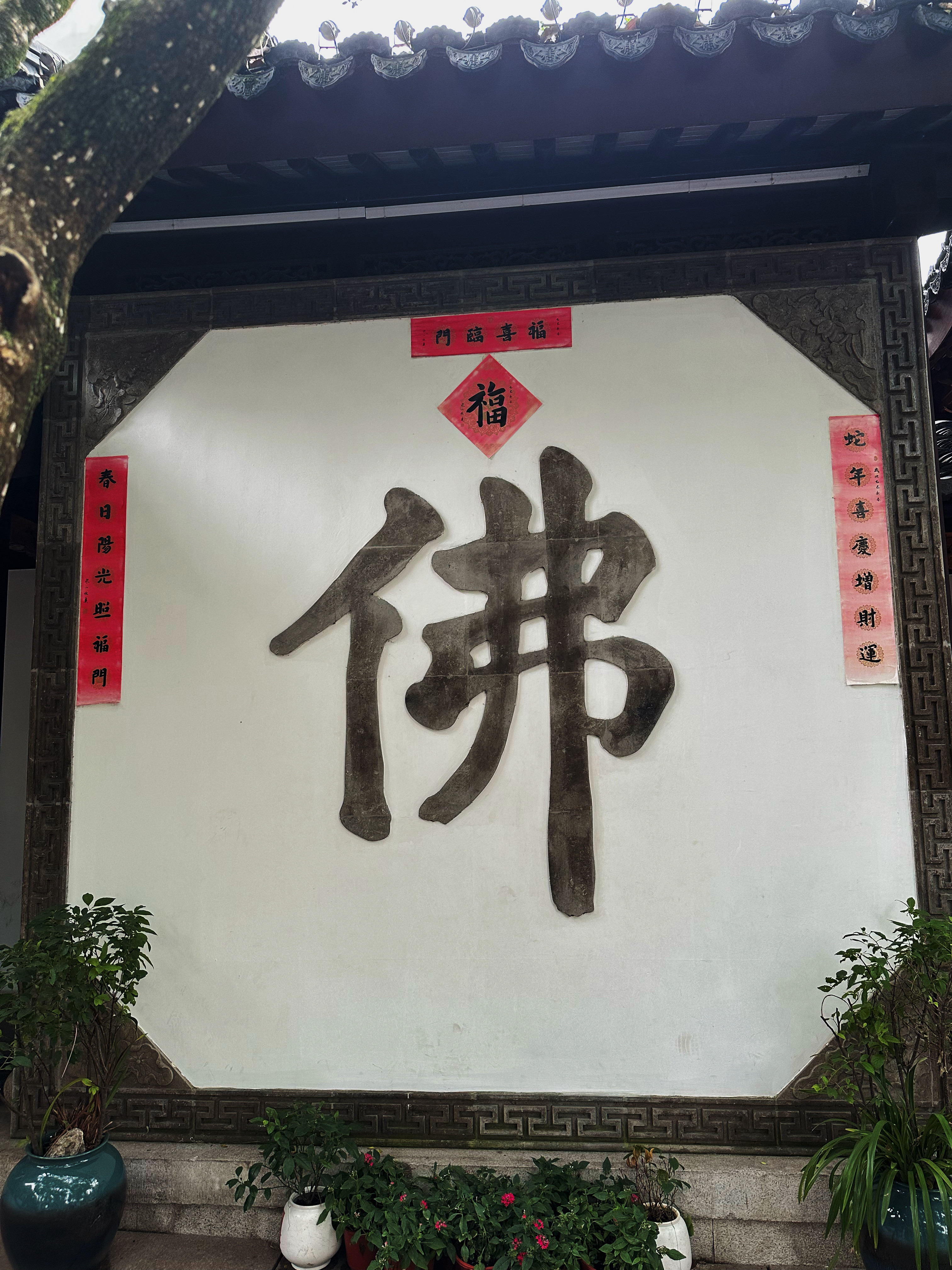 善良犹如种子，请用道德与良知去浇灌它，让它生根发芽、枝繁叶茂。