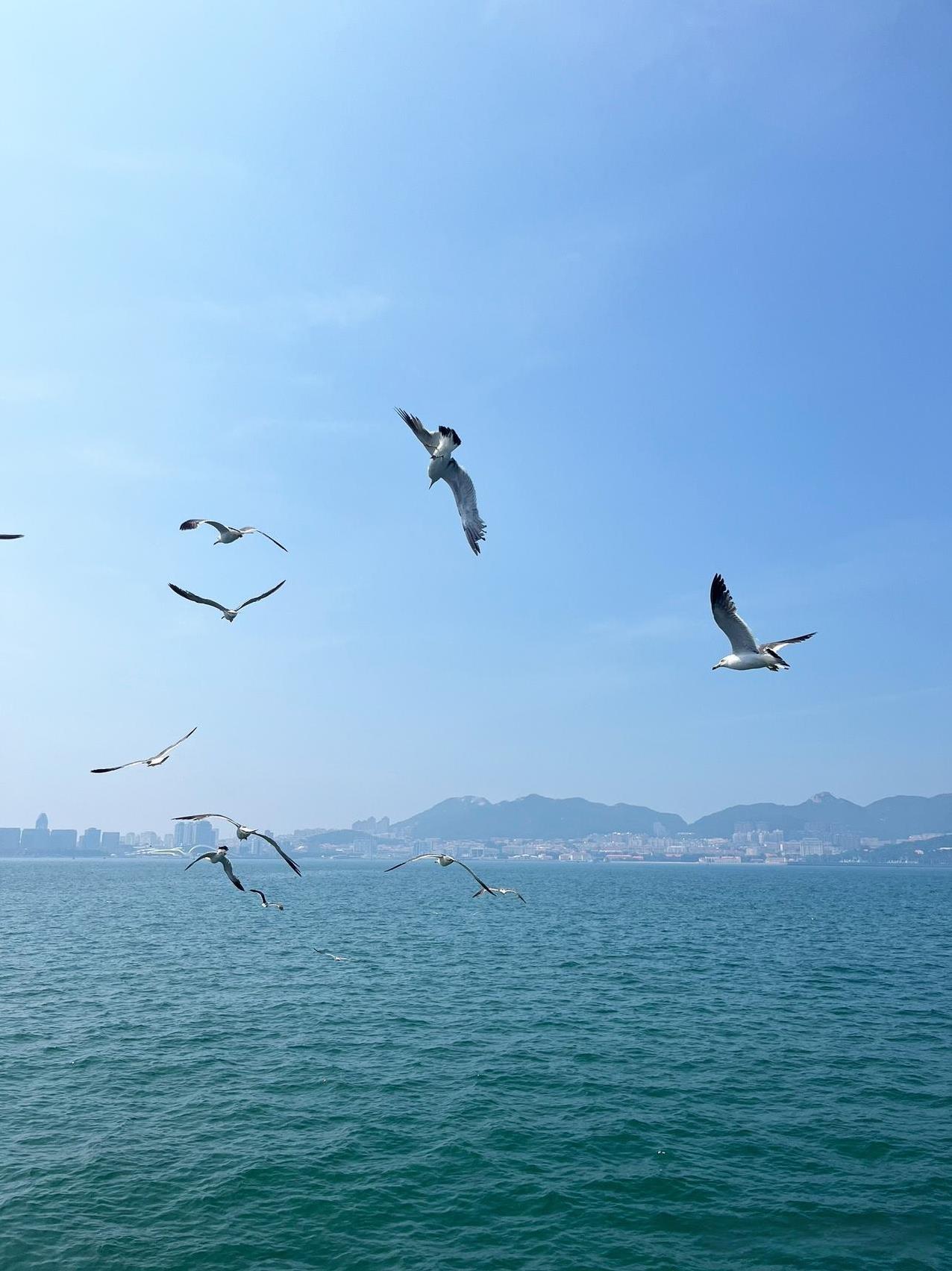 莫言：“钱就像内裤，你得有，但不必逢人就证明你有。干事业，就像怀孕，得够月，着急