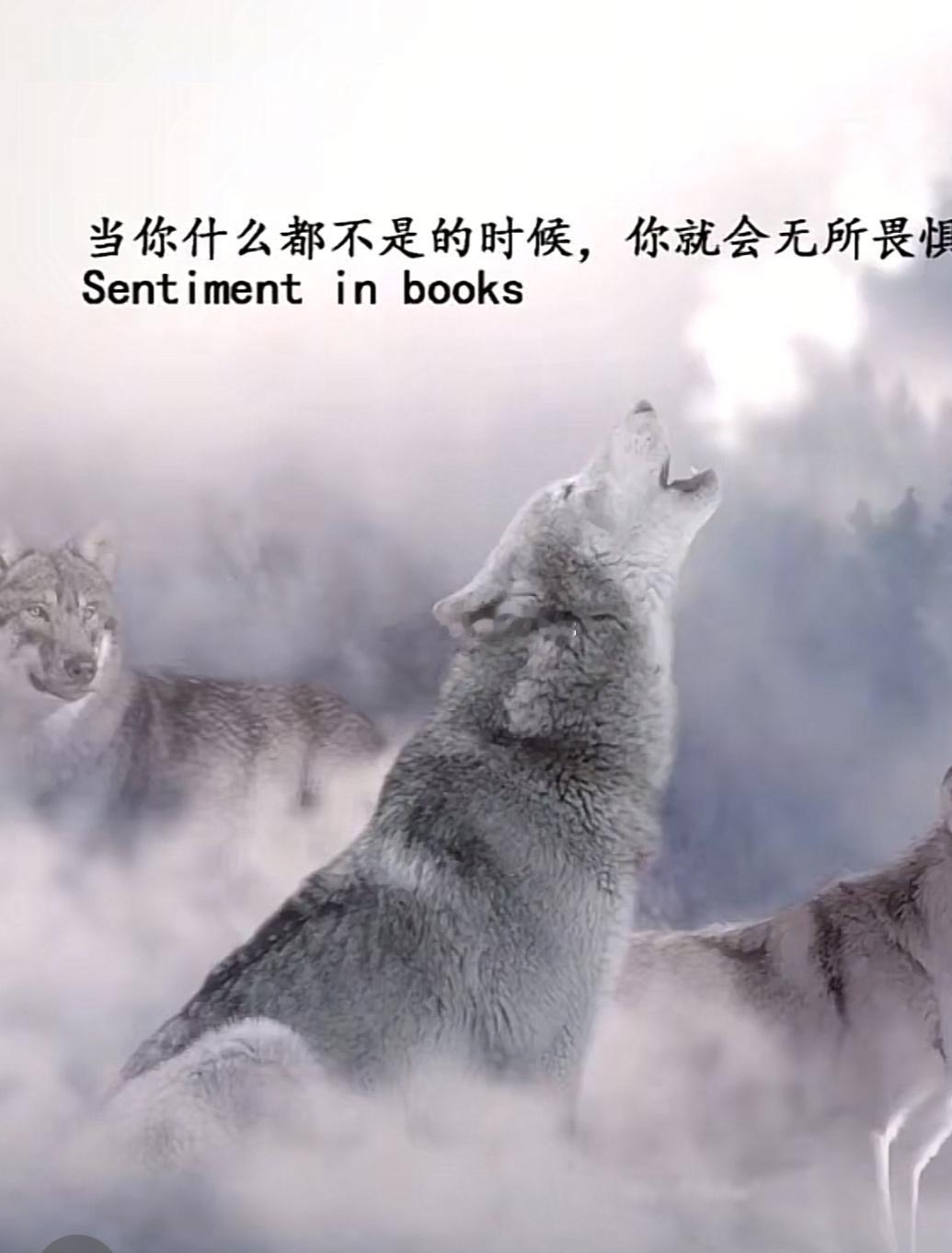 每天的坚持不是为了感动谁也不是为了证明给谁看而是希望今天的自己比昨天更优秀[鲜花