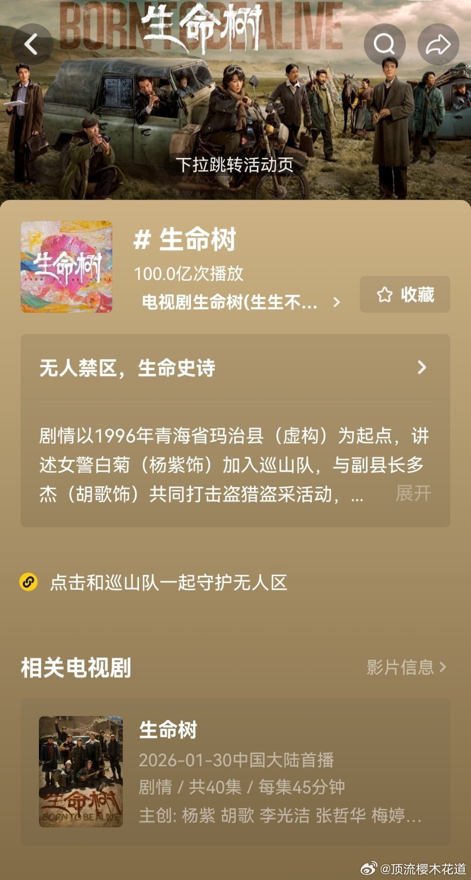 生命树抖音话题播放量破100亿了，没有推流，这个声量充分说明长尾效应非常好，口碑