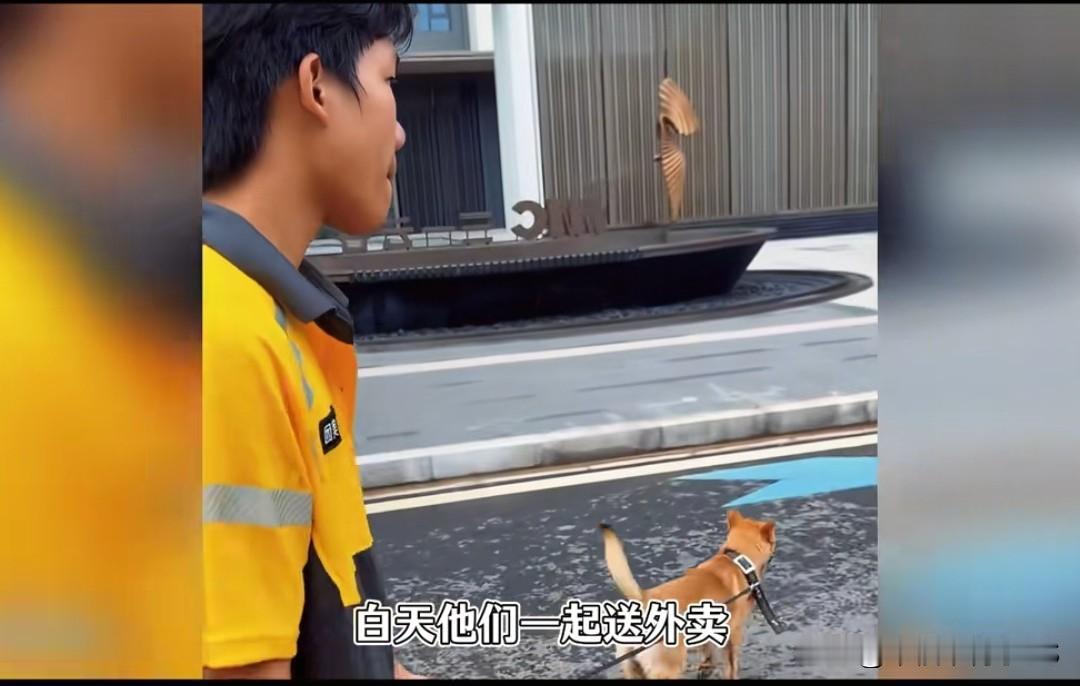 长沙19岁外卖小哥带狗送单攒学费，自己饿肚子也要分一半吃的给狗，感动网友。