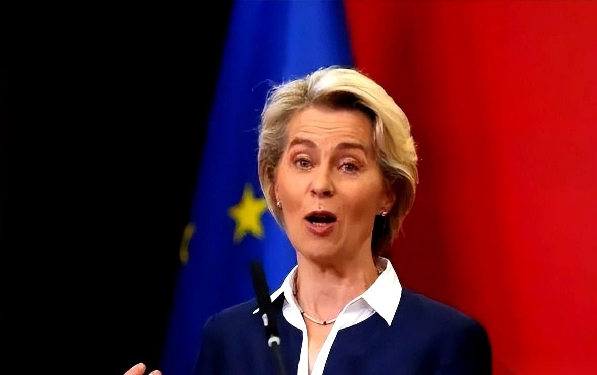 你大哥说，看上你家那块地了，不给就动手。你吓得赶紧去找家里那帮兄弟，结果呢？