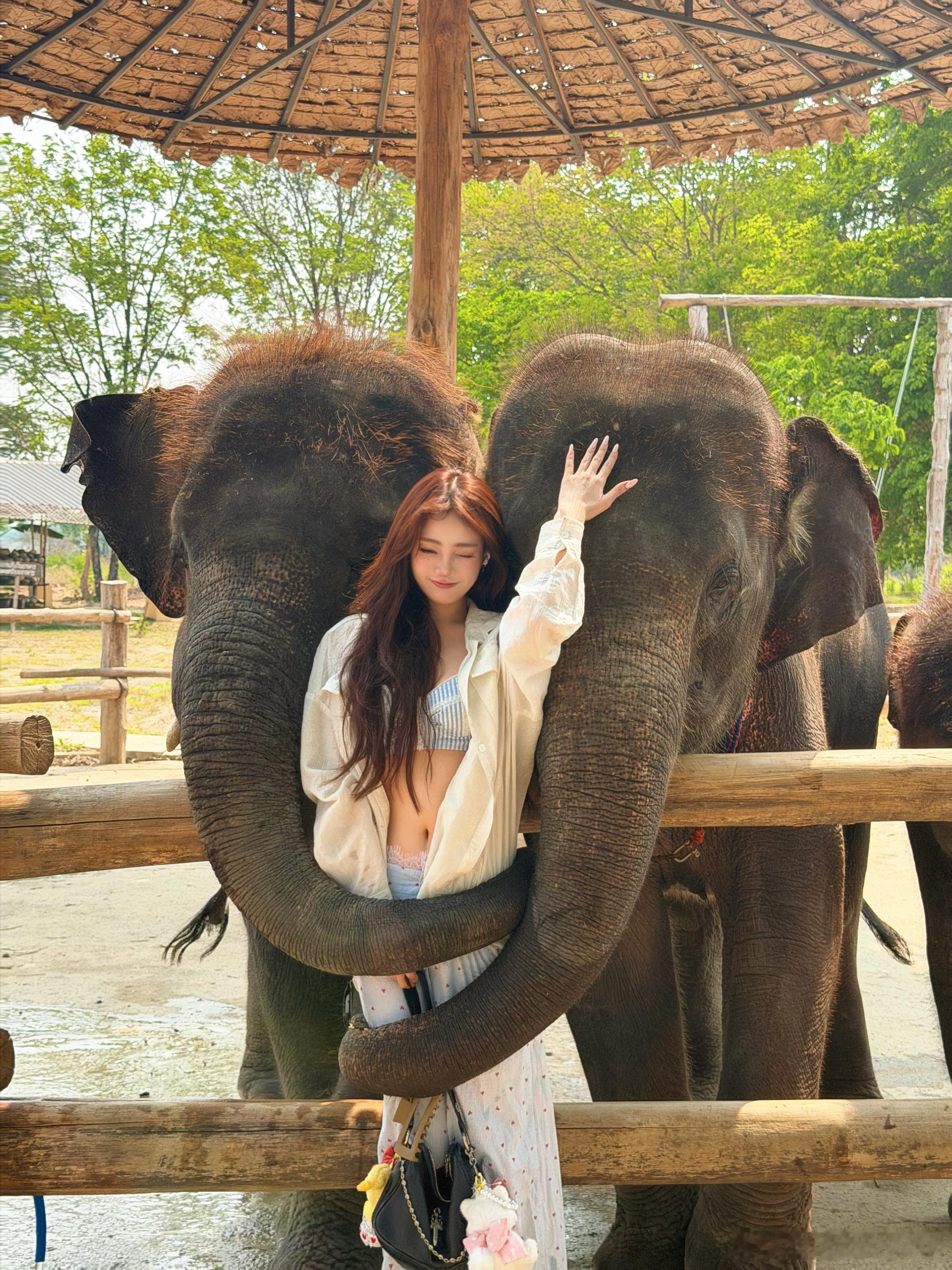 ChiangmaiCalling⋆⊹👒🌼🧡我会一直想念清迈直到我再