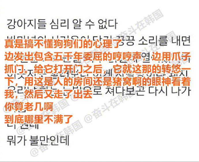 实在是看不懂狗狗的心理了海外新鲜事热点现场