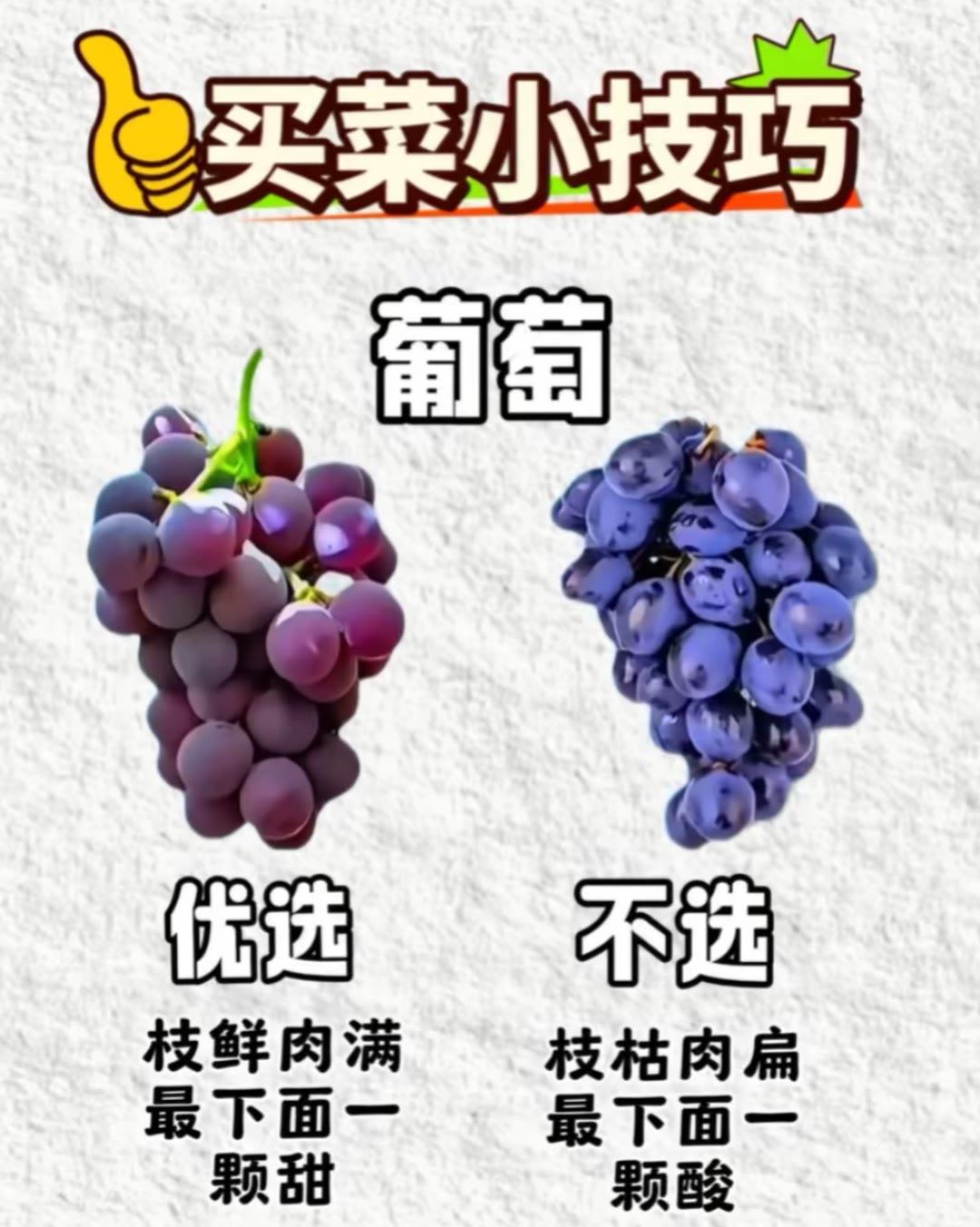 买菜小技巧生活小常识每天一起涨知识买菜挑选小技巧蔬菜选购小妙招家庭买菜技