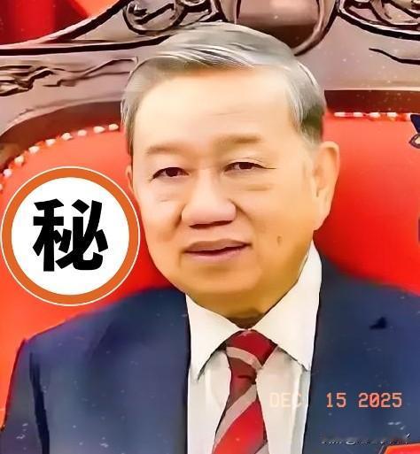 刚刚得知，越南核电项目遇挫，能源转型之路添变数！近日，日本驻越南大使宣布