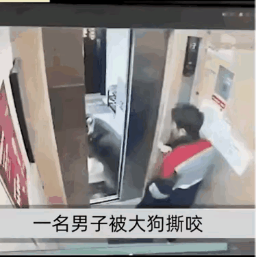 这种静悄悄的狗最可怕了，一男子在电梯内突然上来一只狗，突然开始疯狂撕咬