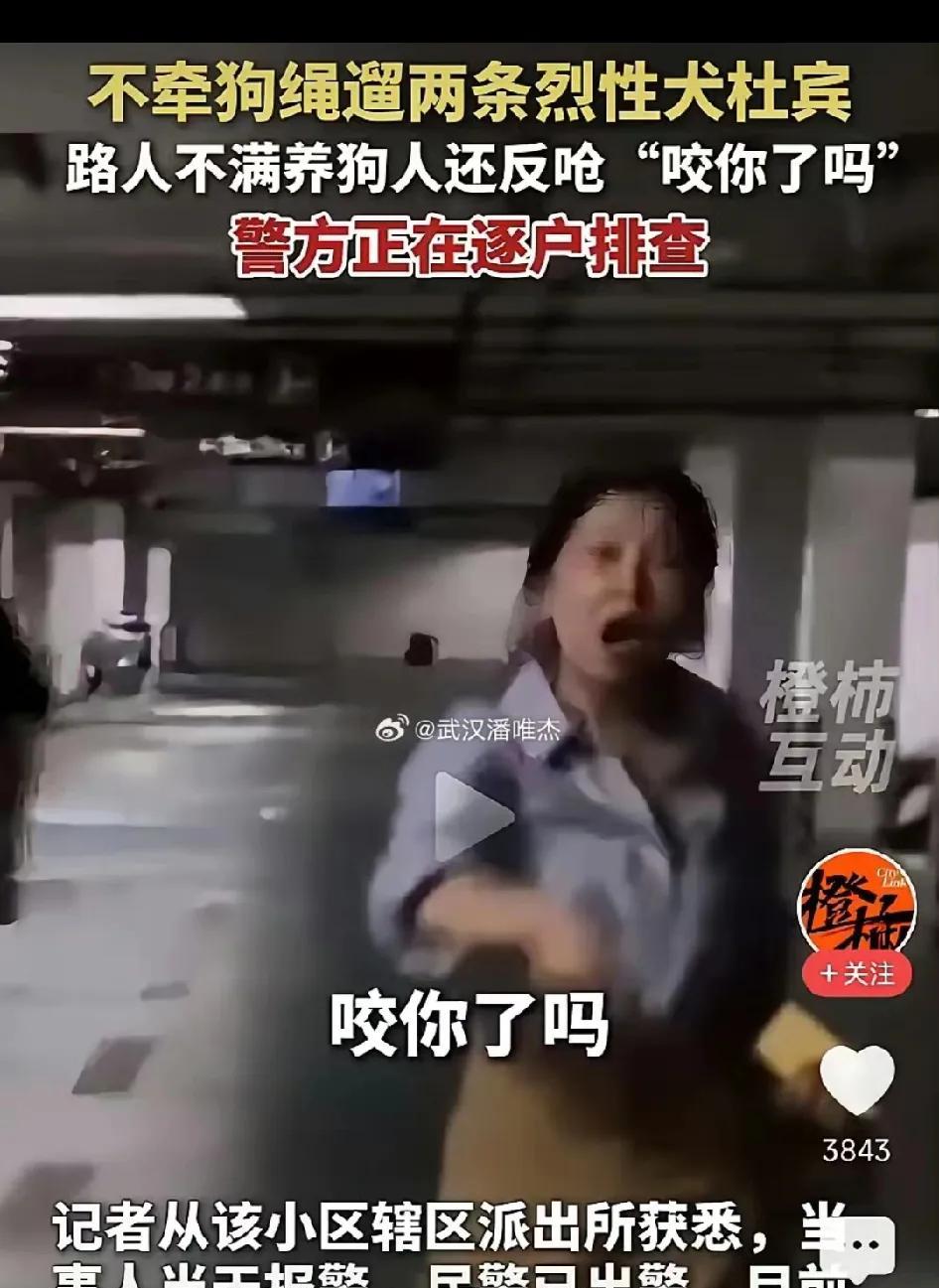 如何对付某些嚣张的养狗人？只需一招，就可以解决这个问题。不管是啥人，也不管他养
