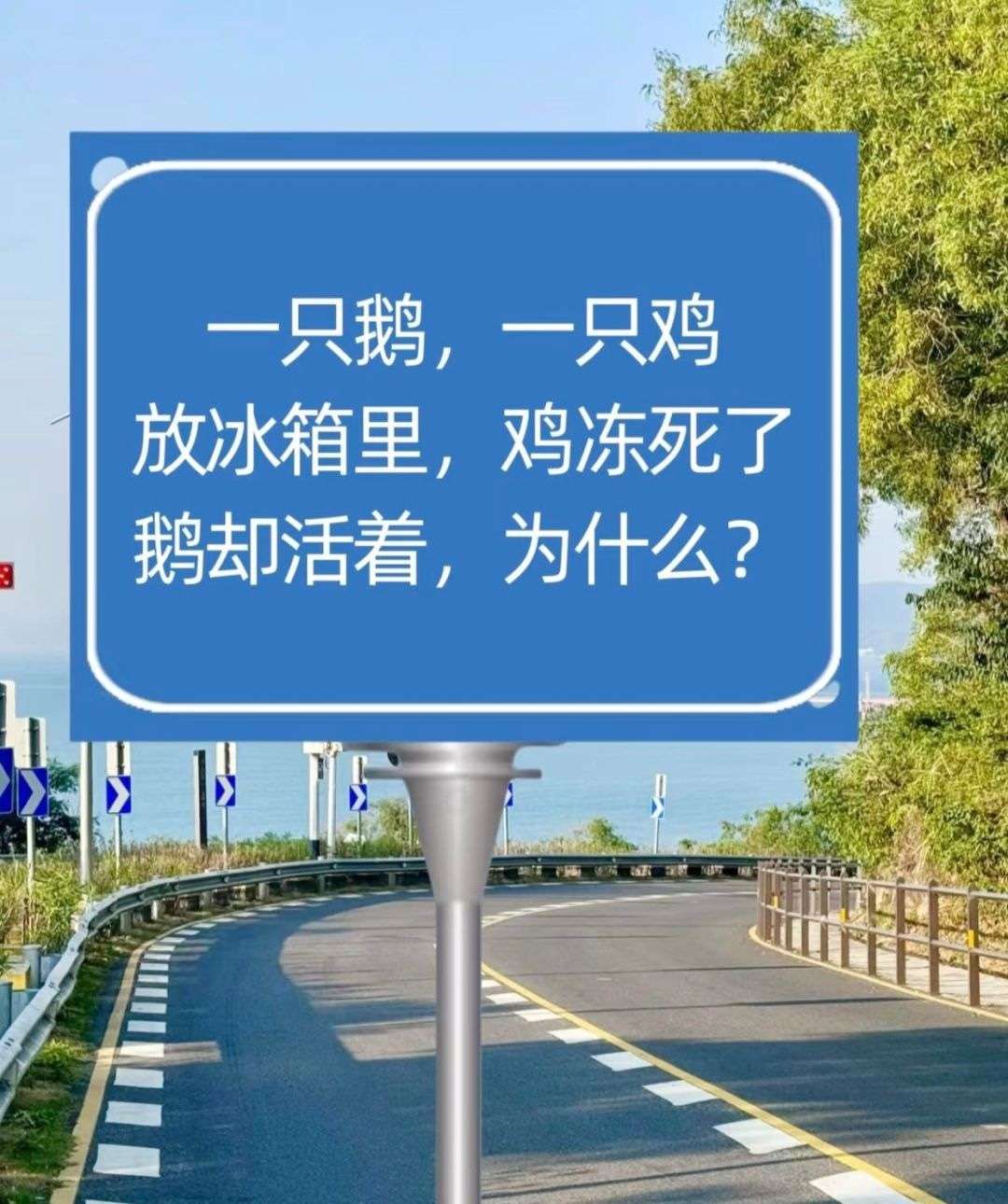一只鹅，一只鸡，放冰箱里，鸡冻死了，鹅却活着，为什么