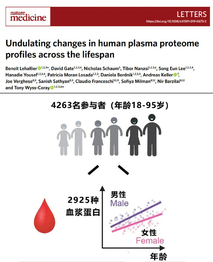 硬核研究所【断崖式衰老的三个年龄】人的一生衰老并不是匀速发生的，研究发现要经历3