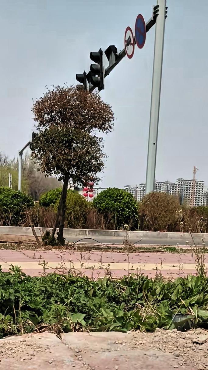社会上总有这样的人，兄弟姐妹都不相往来。我村里就有这么一个人，把老家的房子
