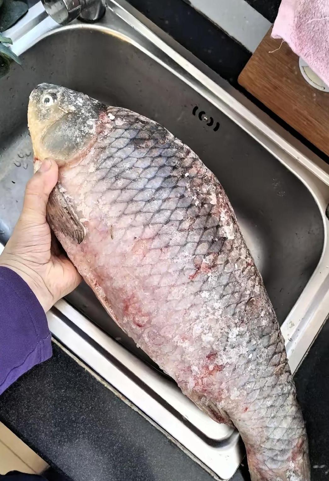 左图是来自俄罗斯远东地区的6斤重野生大鲫鱼，右图是清朝版图，感慨还是这片版图最适