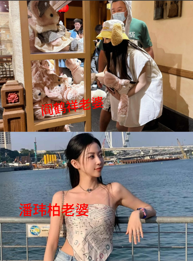 看了阎鹤祥老婆的照片我有一种感觉那就是和潘玮柏老婆，是一个类型的，像网红或