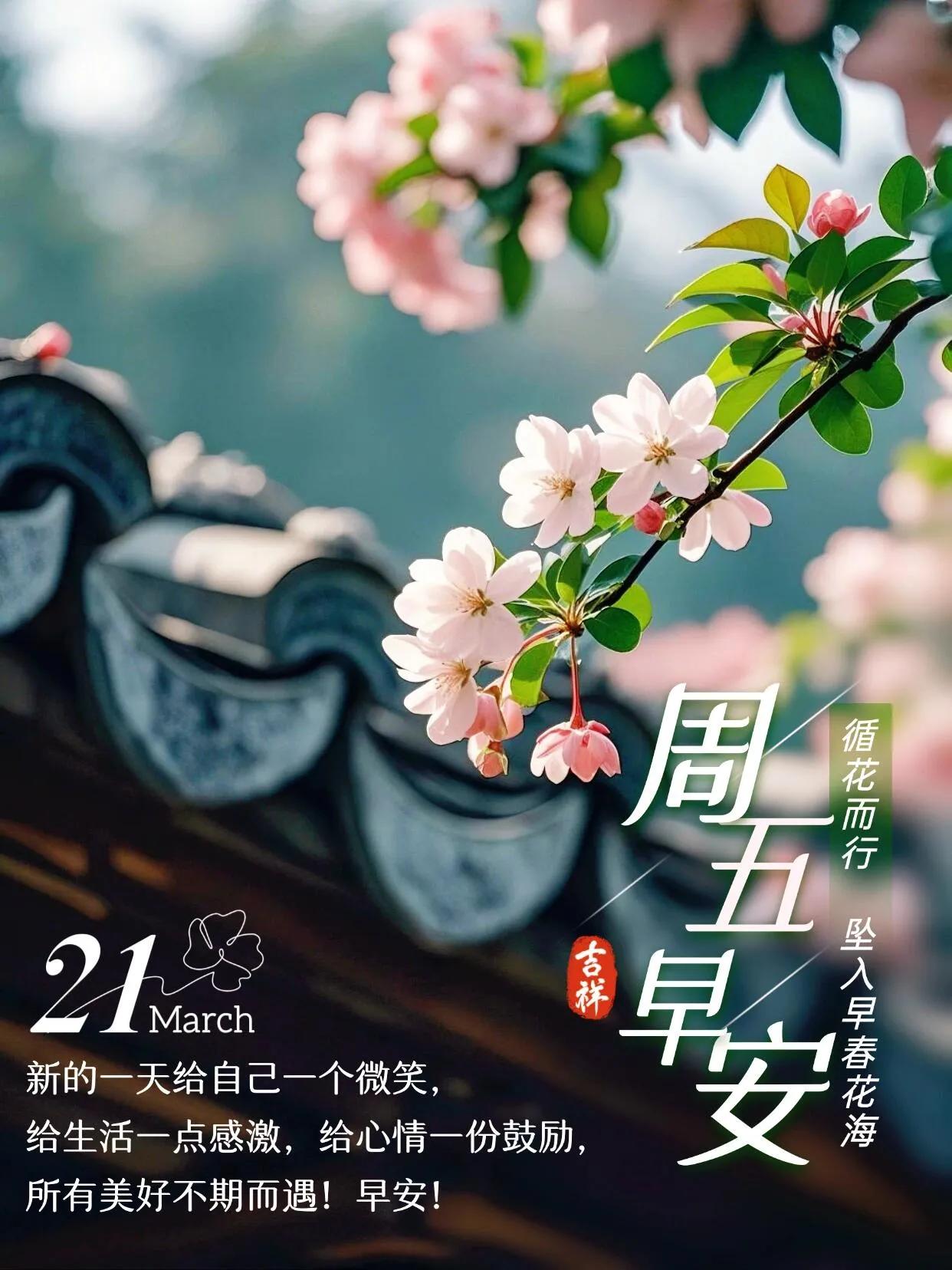 周五朝吟·长卷缀福篇🌼🌼🌼🌼🌼🌼人间万象皆成韵，一叶拈来亦清欢。