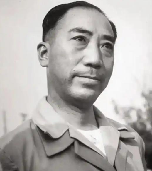 1945年，戴笠肃奸时，对汉奸潘三省很厌恶，就给他上了镣铐。唐生明去探望时，潘三