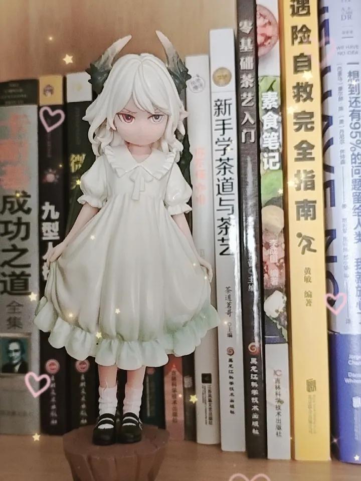 记录我的2026书架上最惹眼的，当属那个皱着眉的龙女手办。刚才整理书的时候不小心