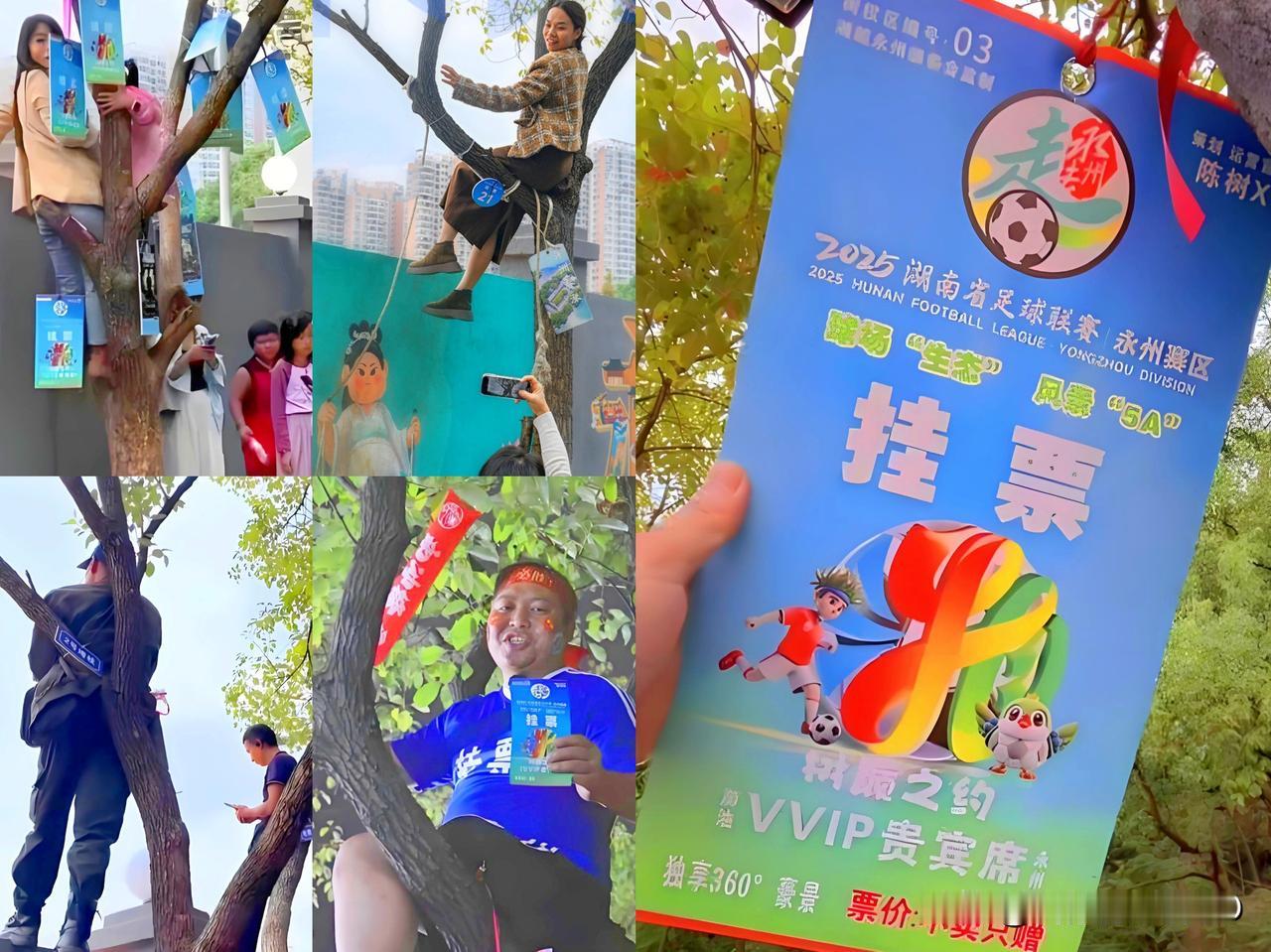 央视报道过的...永州队挂票!看看有哪10大奇葩规定：①每棵树限挂3个人；