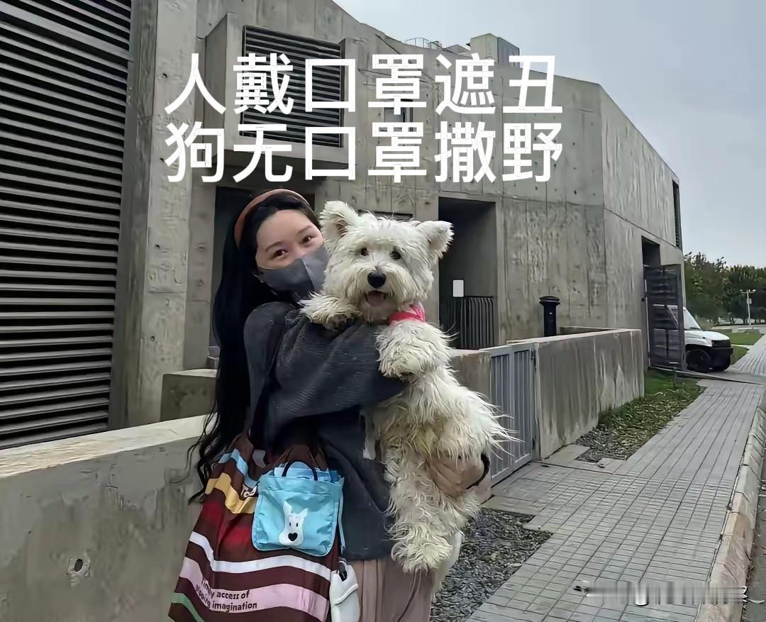 把遛狗的责任交给物业，发生不文明养狗的现象，物业必须给业主一个交待。北