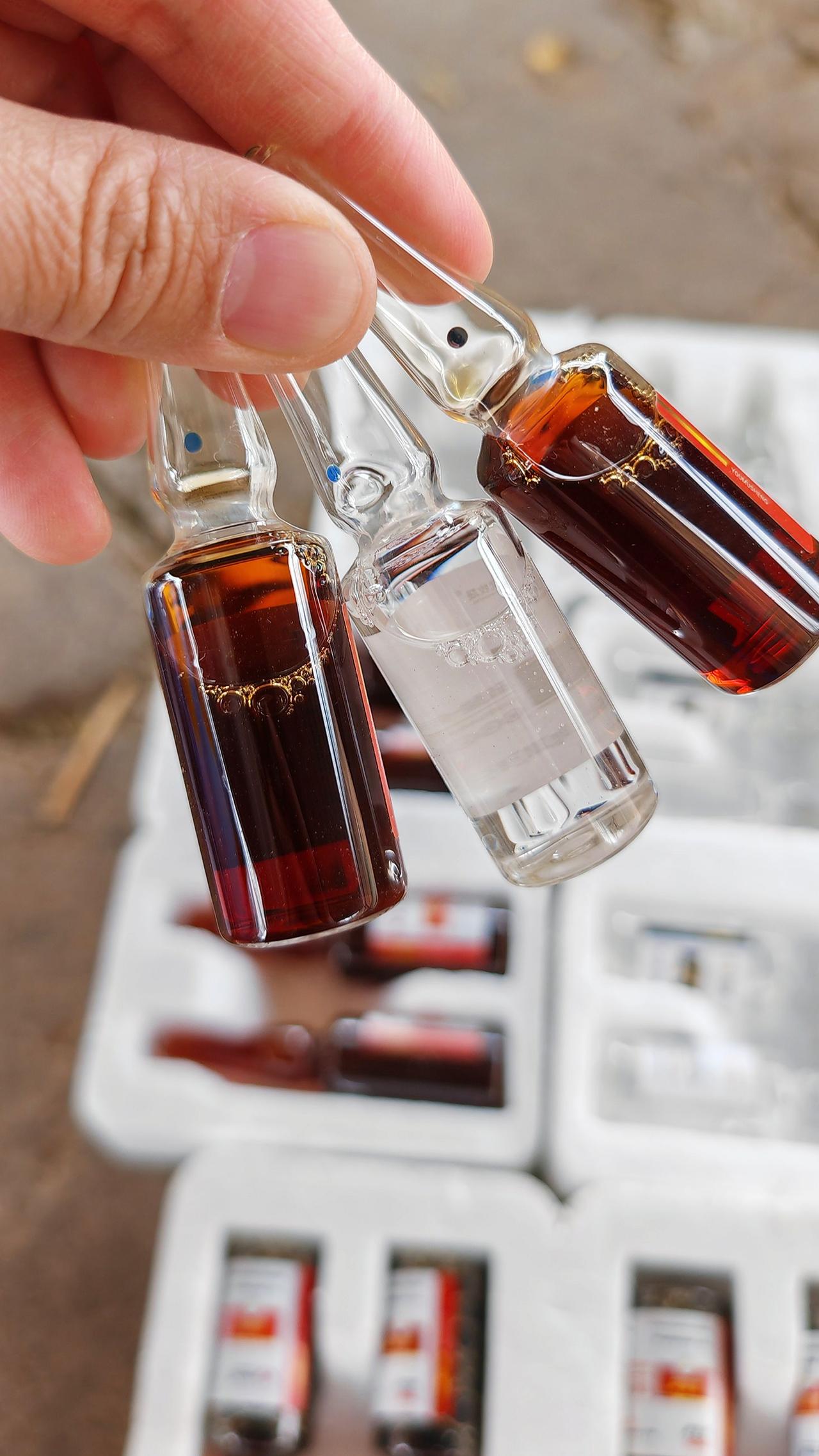 养羊人农村养羊养殖人加油牛羊养殖养殖场专用