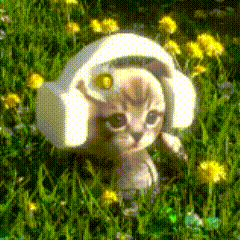 阿米嘎蒂朵喵喵～～我将预定我的12月爱用表情包