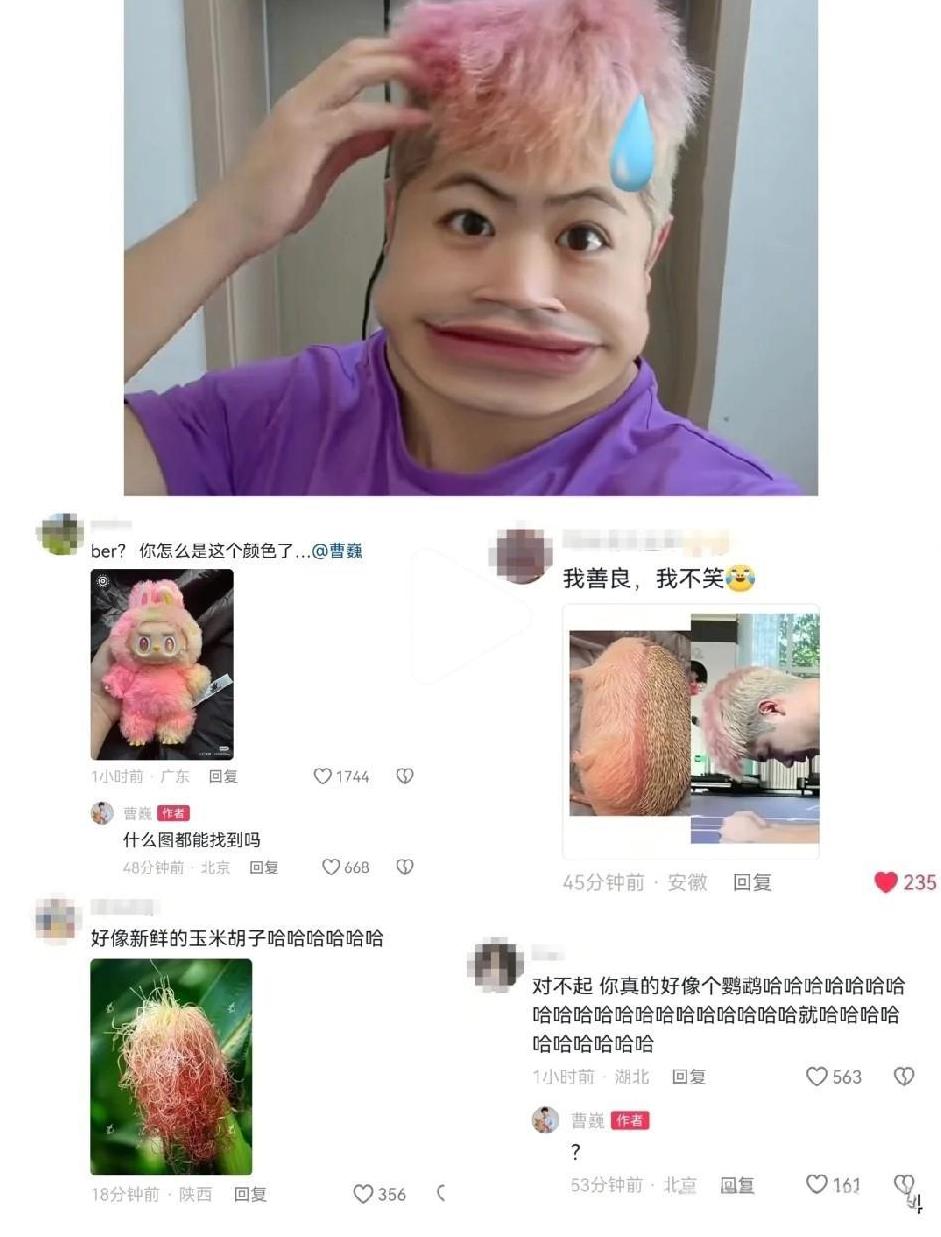 草莓熊被王CC“递刀子”头发“破相”？曹巍发了一条视频，说他的600万的项目出