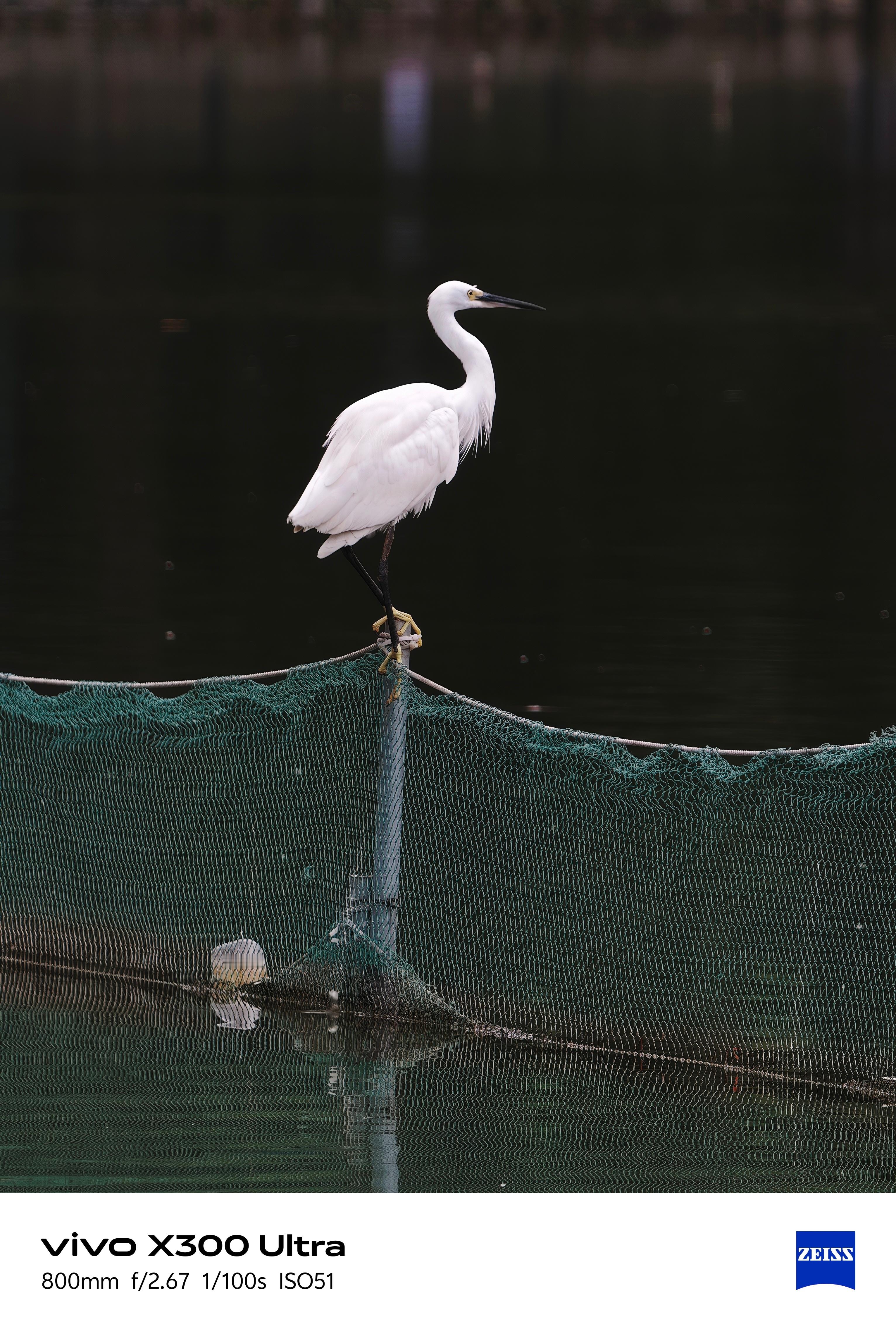 好家伙！vivoX300Ultra长焦居然这么强？前两天欧哥同学还在问我，这