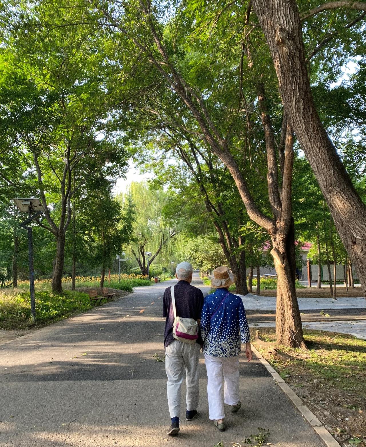 60岁后养老，到底啥最靠谱？不是钱，不是子女，看完恍然大悟！最近“60岁后