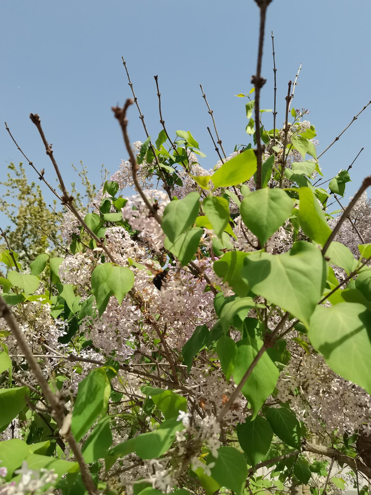 太扎心了！为什么普通人无法有钱？普通人自从挣钱那一刻开始之后，他就放弃了学习，放