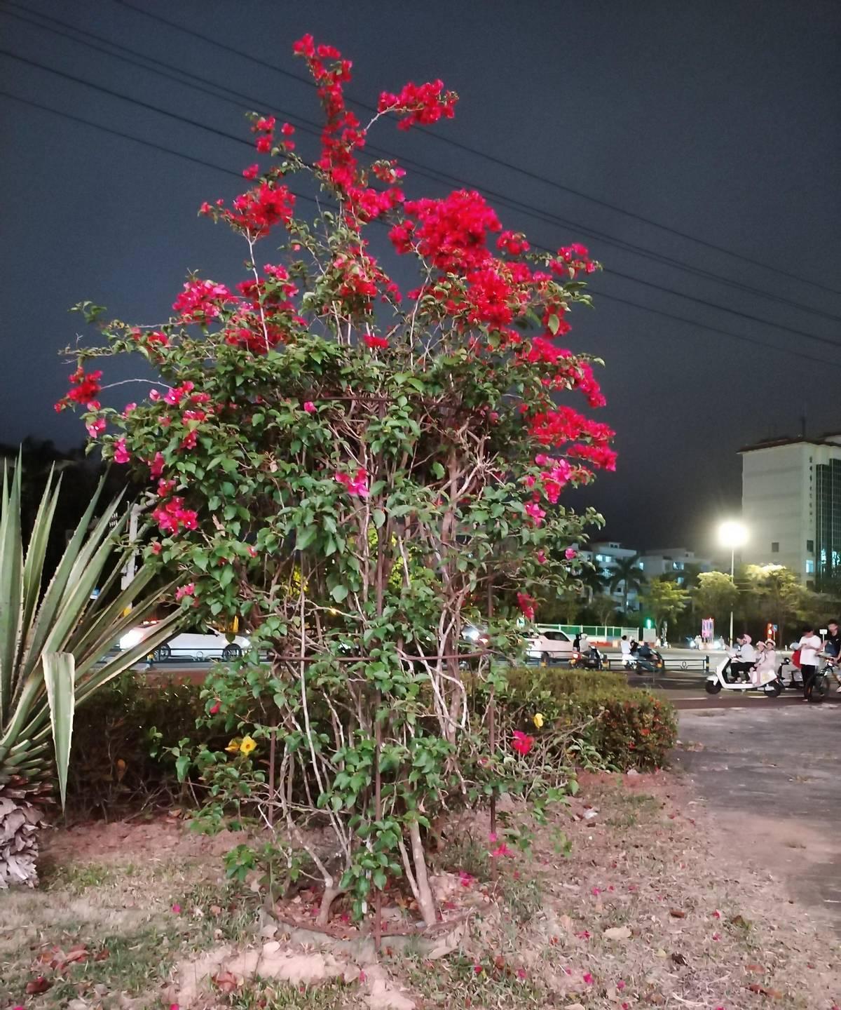 一位妈妈早上刚把娃送进校门，老师就打电话说水杯落家里了，她瞬间血压飙升，满脑子都