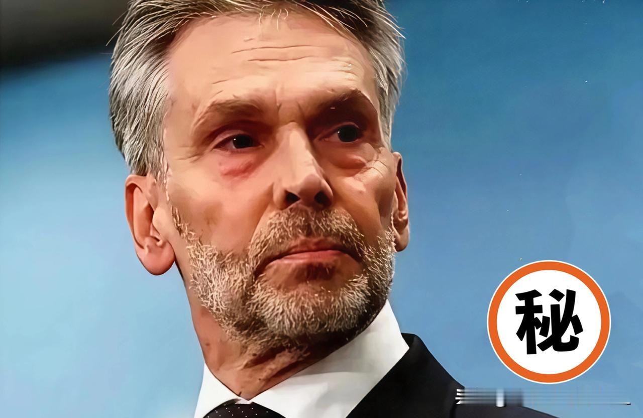 2025年11月23日晚，闻泰科技一纸声明引爆跨境争端！这家中国科技企业公开敦促