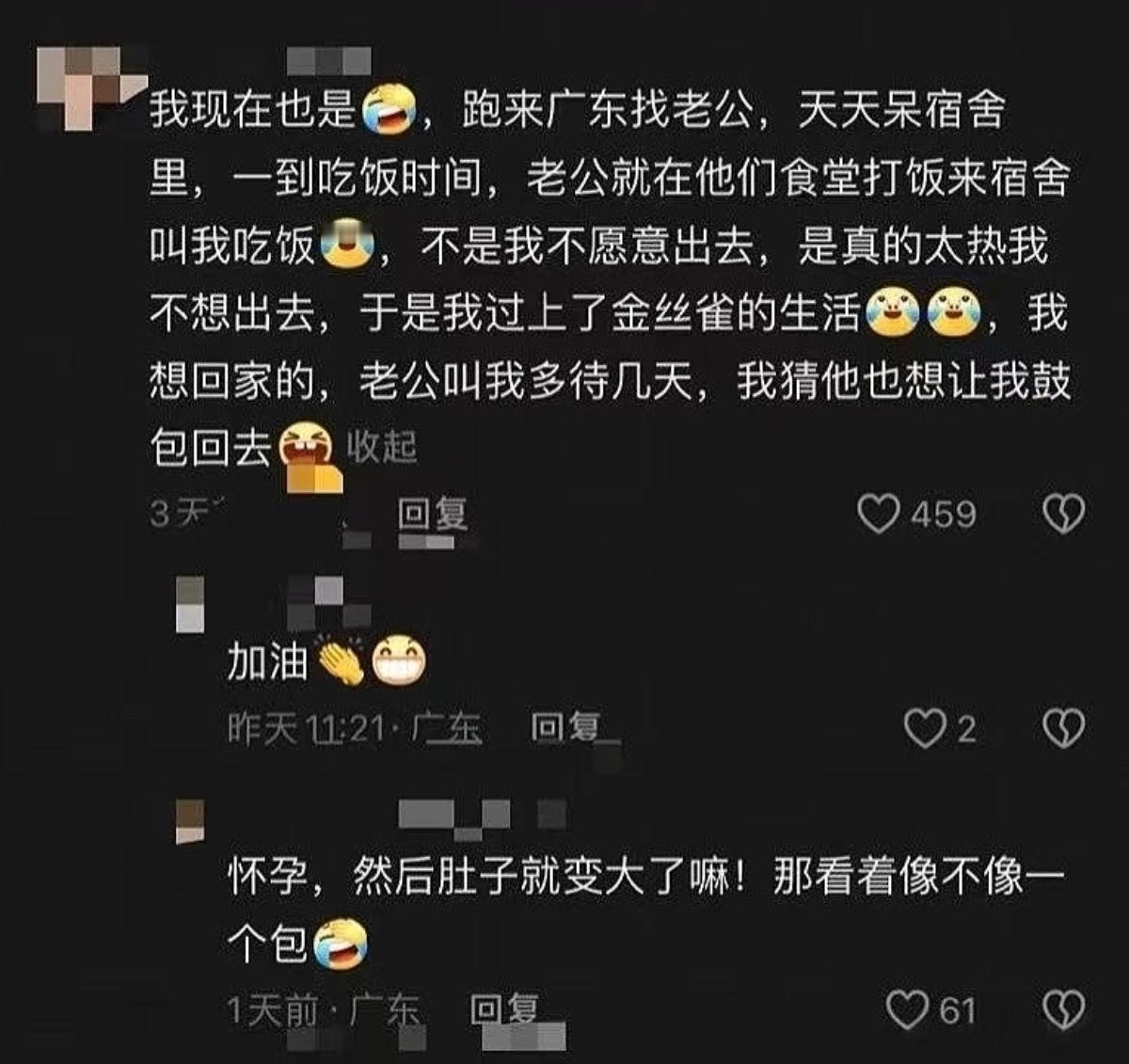 金丝雀降级​​​