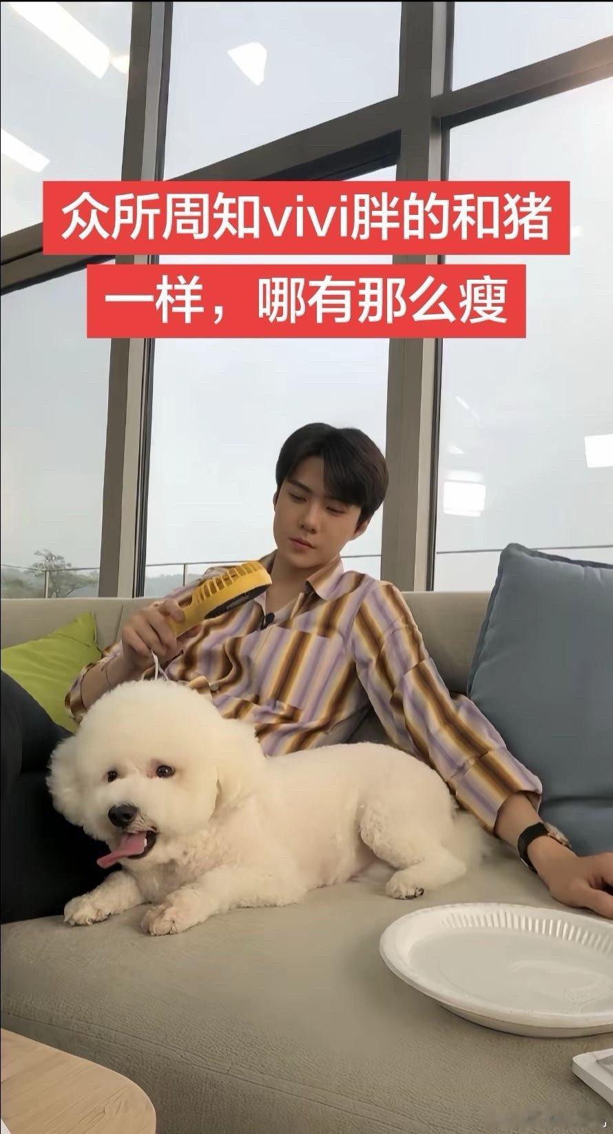 你是说d社放着惊天大“瓜”不放，在机场拍EXO路透？你是说韩国之前就爆出过，但反