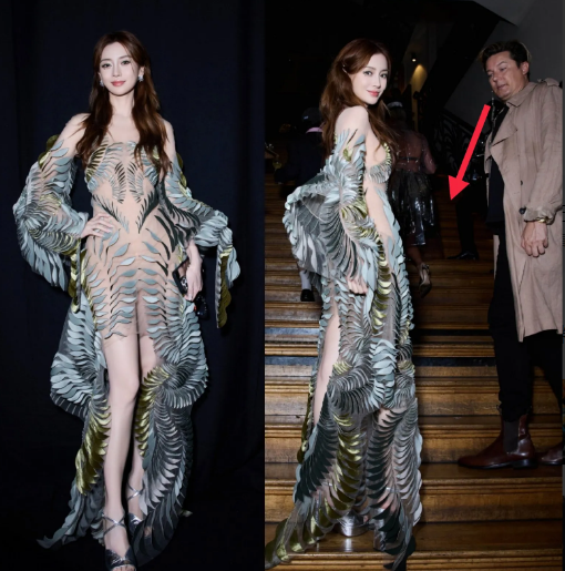 杨颖巴黎高定礼服惊艳全网！叶片透视装引爆热议：是艺术还是大胆？