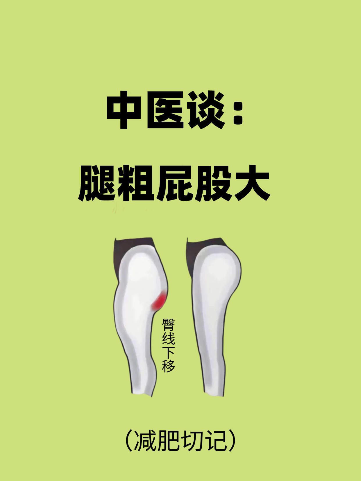 中医谈：腿粗屁股大❗️腿粗臀宽别烦恼！中医常说「养腿就是养命」，腿部藏着多条重要