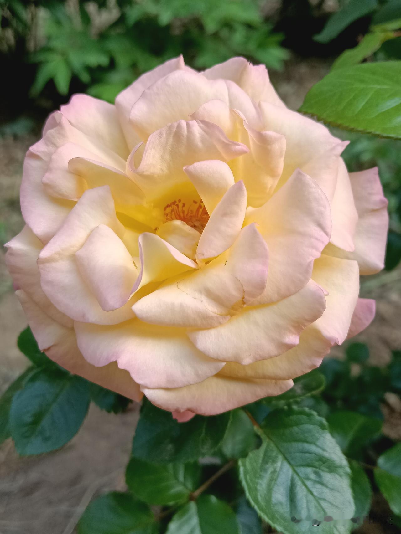 一位老道士说：“金钱是一种阳性的能量，只有阳气足的人才能接的住。一个家庭要盛，一