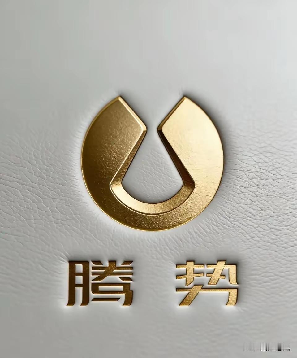 腾势的标换成金色的就好看多了！