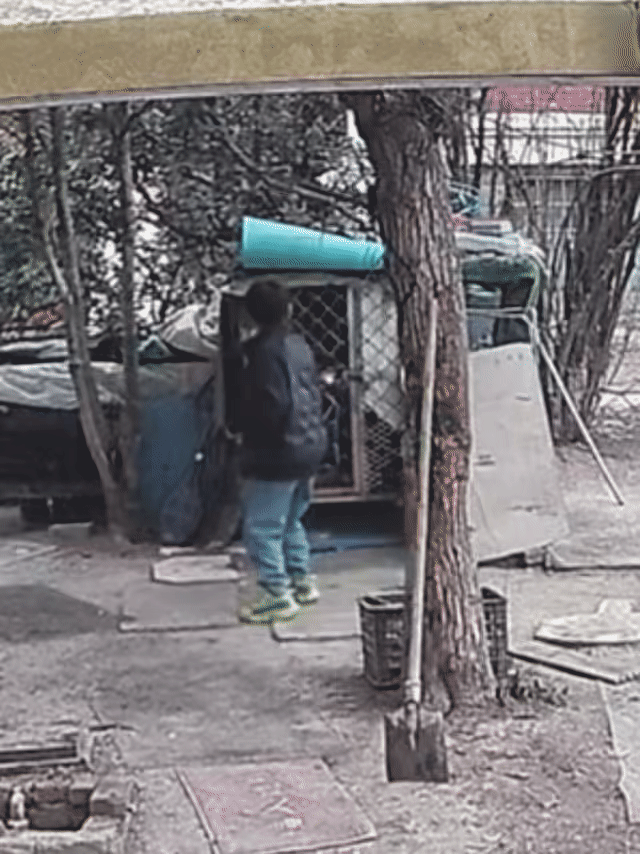 再看连云港小孩点火烧狗的事件，我能肯定，两个小孩是故意的，开始是烟花追着鸡烧