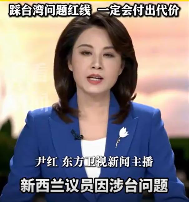 新西兰回应中国，外媒报道，新西兰4名议员5月窜台被中方制裁后，新西兰外交部作出